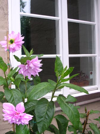 DSCN0379